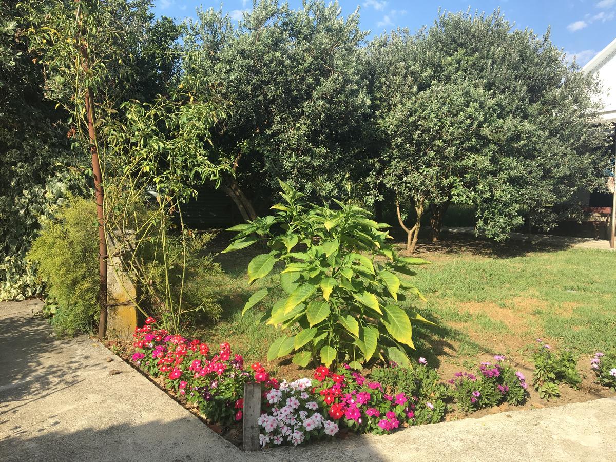 Guesthouse Milena Leselidze エクステリア 写真