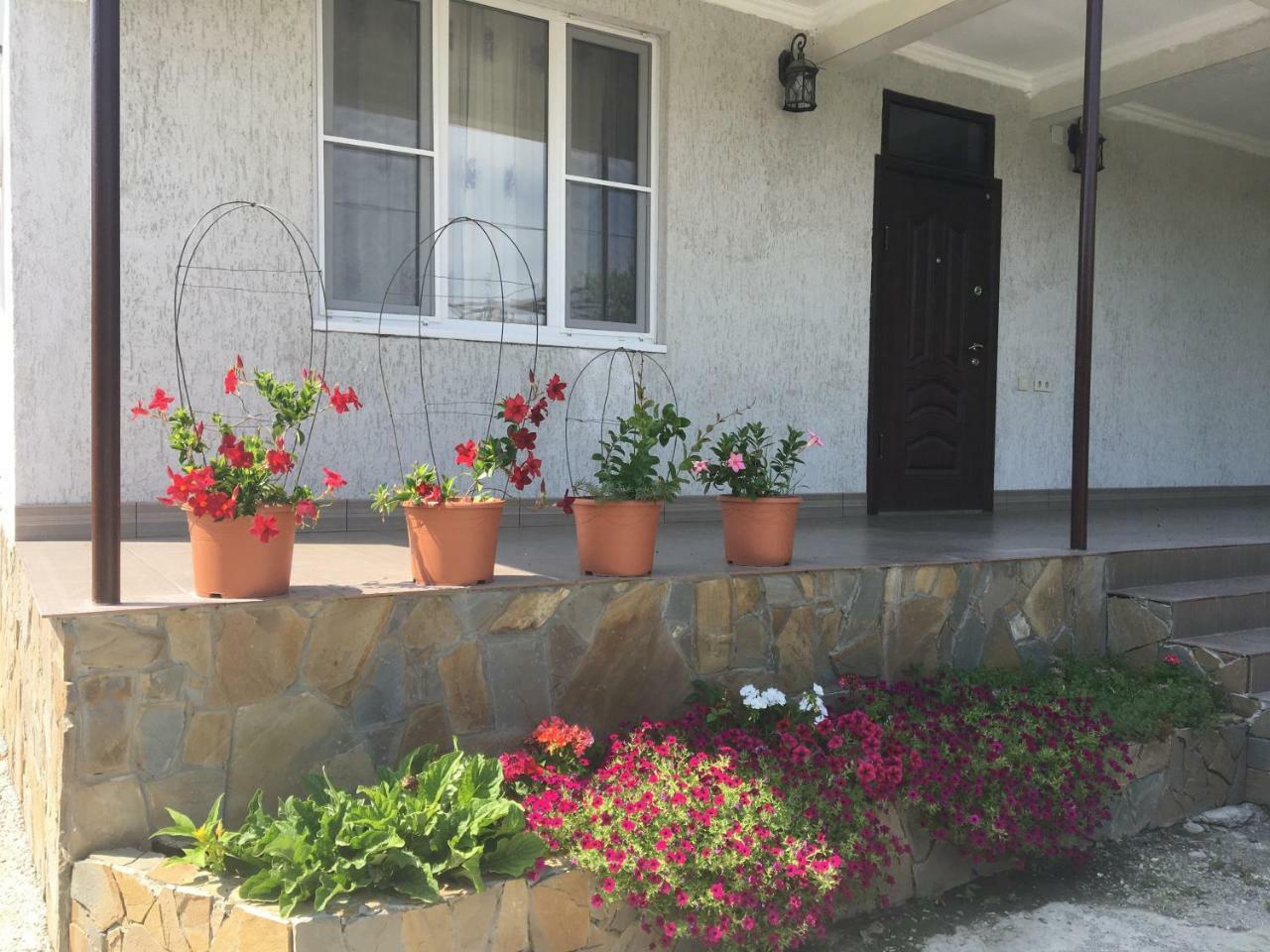 Guesthouse Milena Leselidze エクステリア 写真